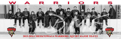 2015 2016 Squirt Major BW Pano