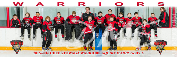 2015 2016 Squirt Major Color Pano