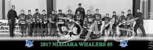 2017 Whalers BW Pano